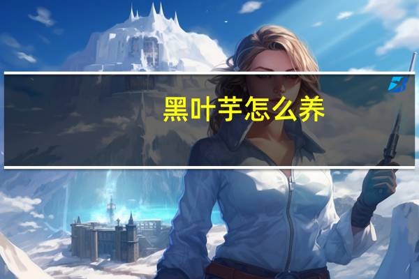 黑叶芋怎么养