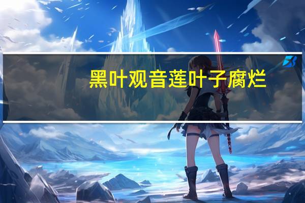 黑叶观音莲叶子腐烂