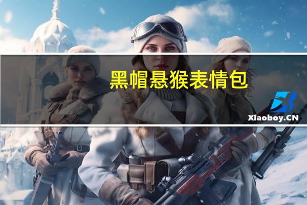黑帽悬猴表情包(黑帽悬猴)