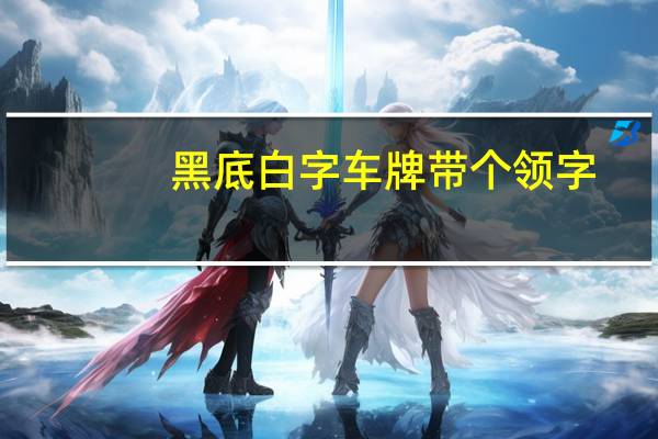 黑底白字车牌带个领字（黑底白字车牌）