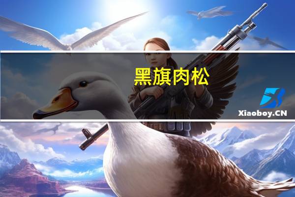 黑旗 肉松(原味)的热量是多少