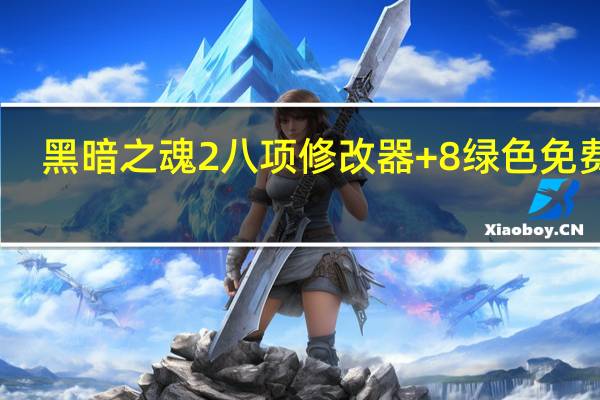 黑暗之魂2八项修改器 +8 绿色免费版（黑暗之魂2八项修改器 +8 绿色免费版功能简介）