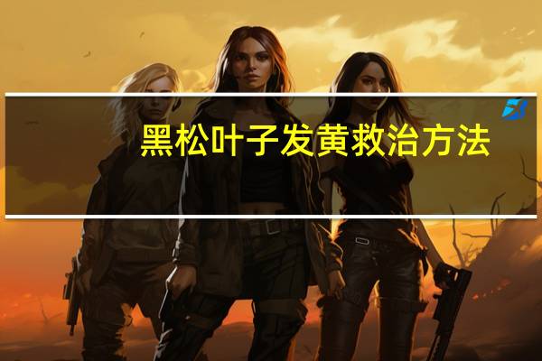 黑松叶子发黄救治方法