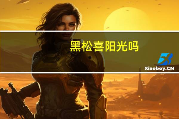 黑松喜阳光吗