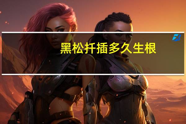 黑松扦插多久生根