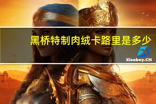 黑桥 特制肉绒卡路里是多少