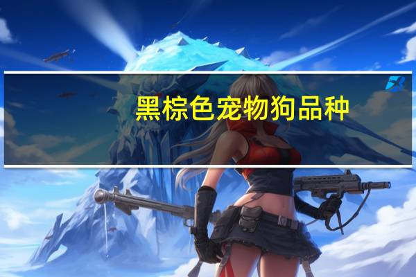 黑棕色宠物狗品种