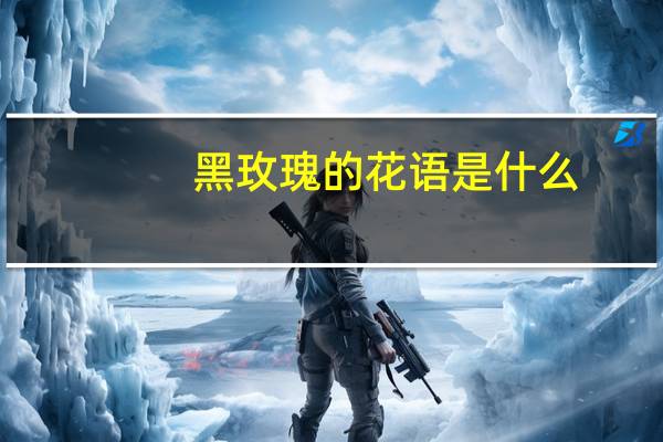 黑玫瑰的花语是什么