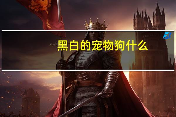 黑白的宠物狗什么