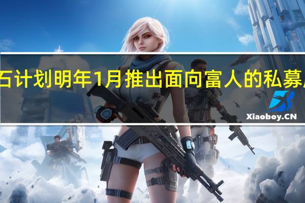 黑石计划明年1月推出面向富人的私募股权基金