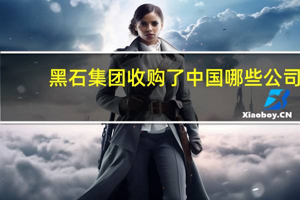 黑石集团收购了中国哪些公司
