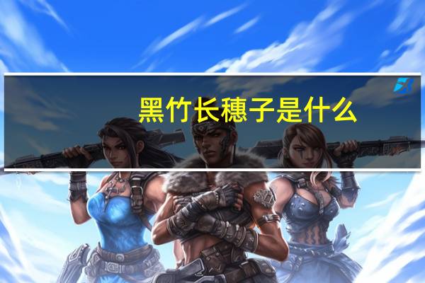 黑竹长穗子是什么
