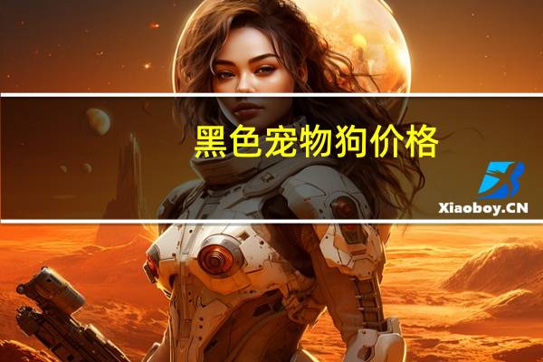 黑色宠物狗价格