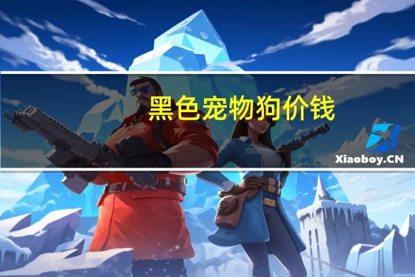 黑色宠物狗价钱