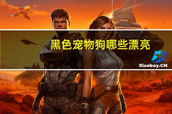 黑色宠物狗哪些漂亮