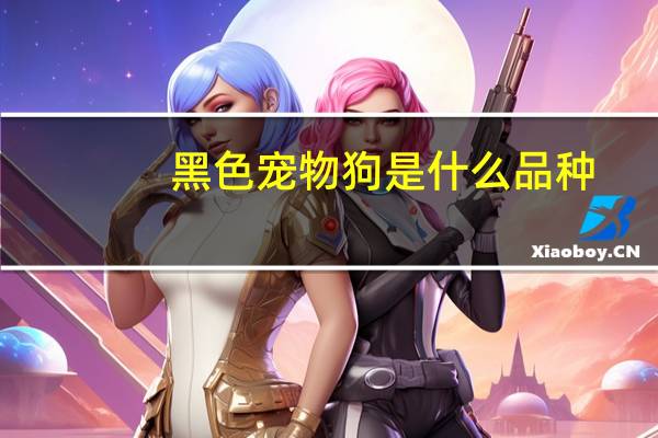 黑色宠物狗是什么品种