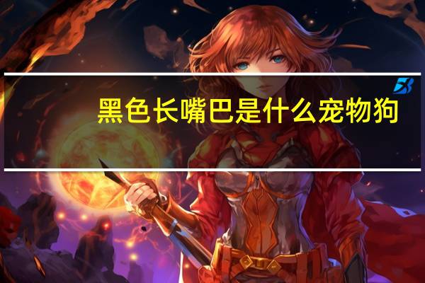 黑色长嘴巴是什么宠物狗