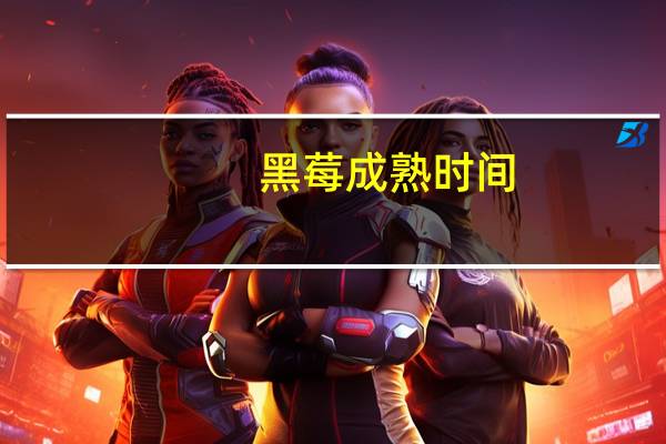 黑莓成熟时间(黑莓时光)