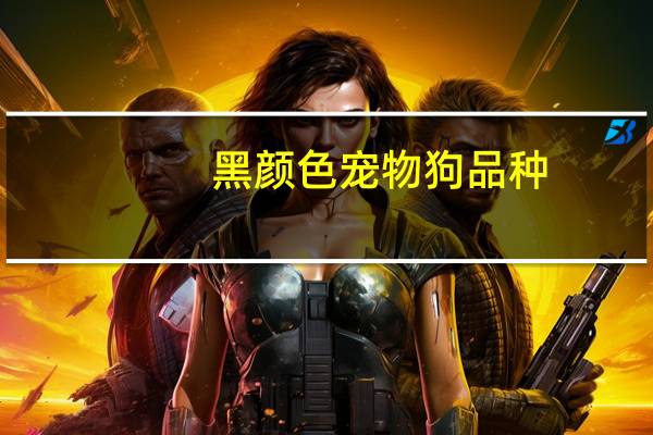 黑颜色宠物狗品种
