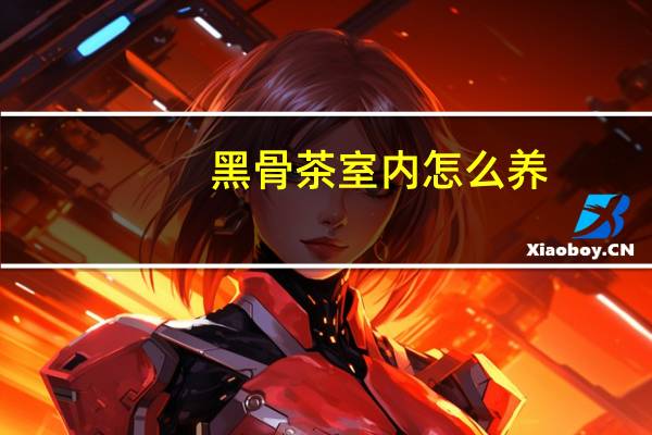 黑骨茶室内怎么养