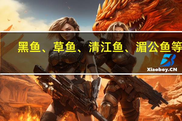 黑鱼、草鱼、清江鱼、湄公鱼等等，哪一种做烤鱼最合适