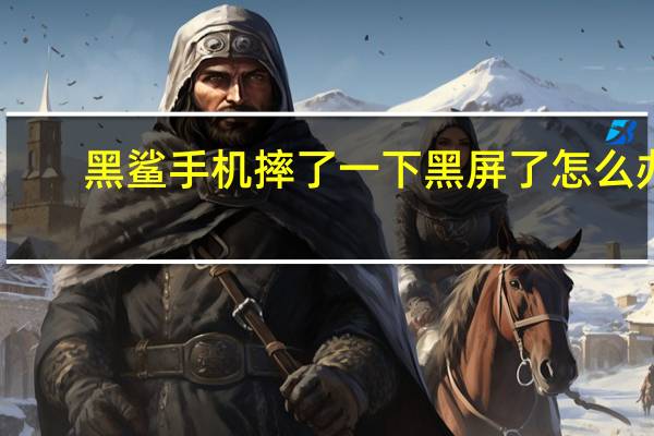 黑鲨手机摔了一下黑屏了怎么办（手机摔了一下黑屏了怎么办）