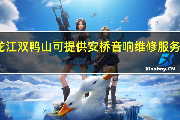 黑龙江双鸭山可提供安桥音响维修服务地址在哪