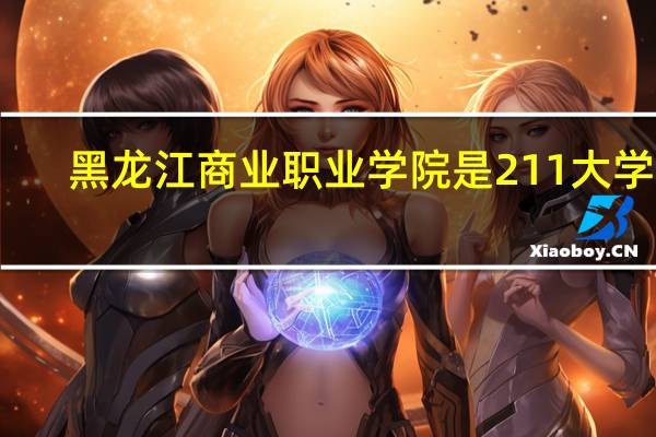 黑龙江商业职业学院是211大学吗