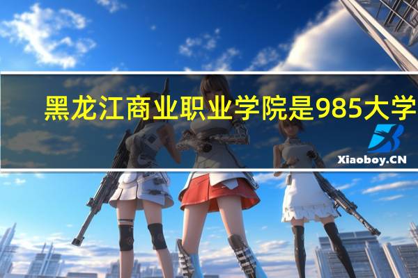 黑龙江商业职业学院是985大学吗