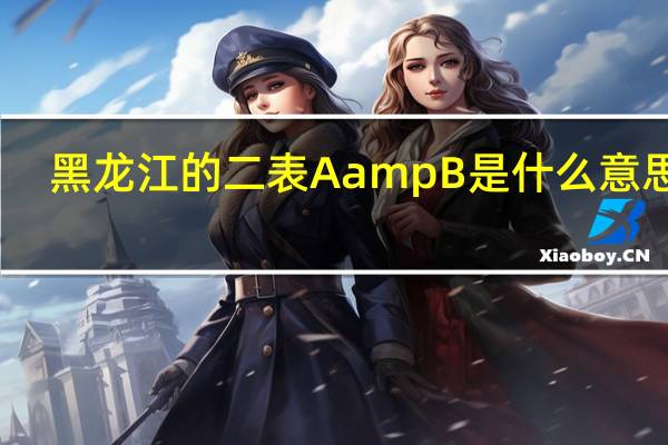 黑龙江的二表A amp B是什么意思呀