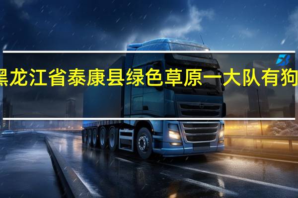 黑龙江省泰康县绿色草原一大队有狗屎村吗