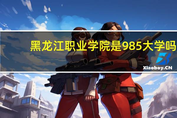 黑龙江职业学院是985大学吗