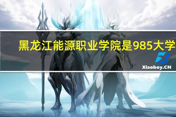 黑龙江能源职业学院是985大学吗