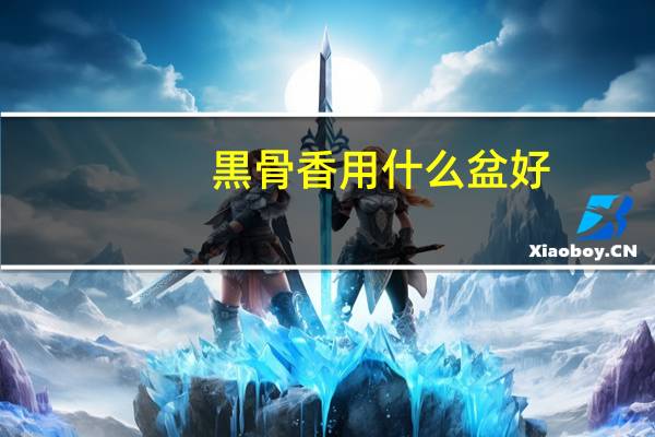 黒骨香用什么盆好
