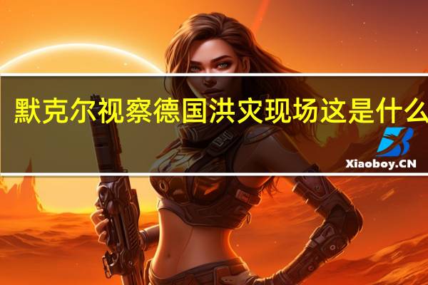 默克尔视察德国洪灾现场 这是什么场面??