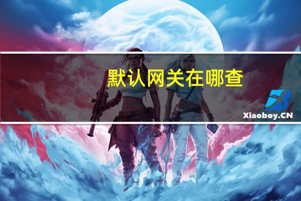 默认网关在哪查(默认网关查询)