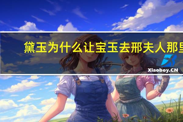 黛玉为什么让宝玉去邢夫人那里