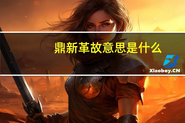 鼎新革故意思是什么