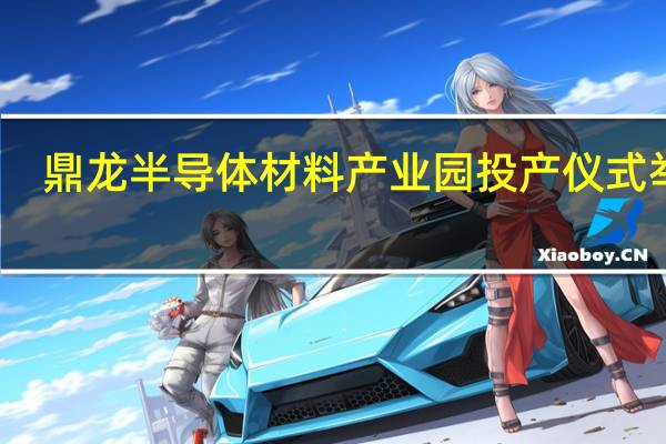 鼎龙（仙桃）半导体材料产业园投产仪式举行