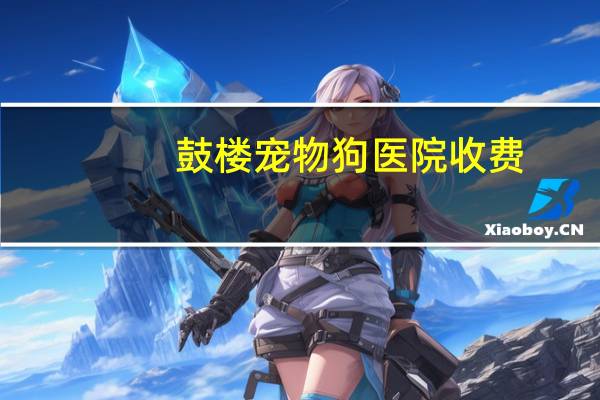 鼓楼宠物狗医院收费