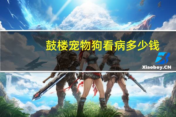 鼓楼宠物狗看病多少钱