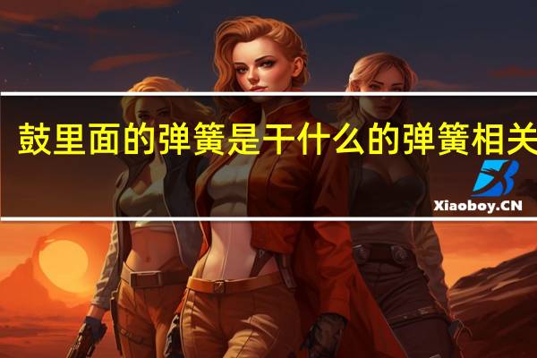 鼓里面的弹簧是干什么的 弹簧相关介绍