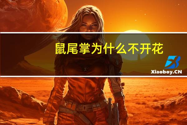 鼠尾掌为什么不开花