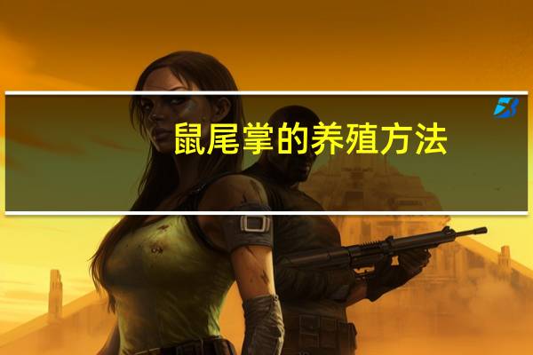 鼠尾掌的养殖方法：夏季保持湿润
