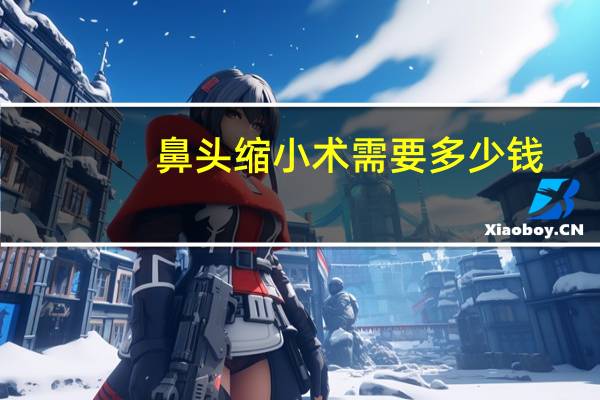 鼻头缩小术需要多少钱？鼻头缩小术一般需要多少钱