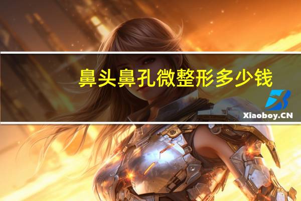 鼻头鼻孔微整形多少钱(整容大概需要多少钱)