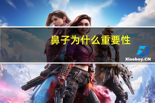 鼻子为什么重要性(高鼻梁的作用是什么)