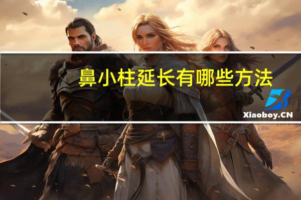 鼻小柱延长有哪些方法(延长鼻小柱的材料是什么)