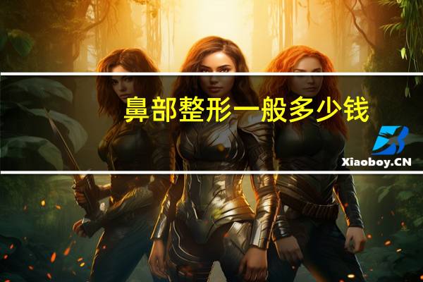 鼻部整形一般多少钱(做鼻子整形需要多少钱啊)