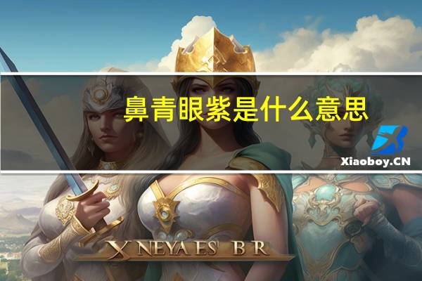 鼻青眼紫是什么意思
